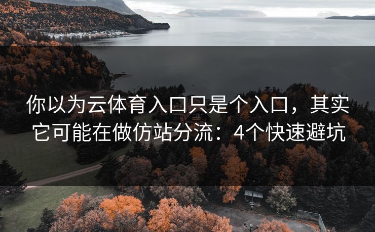 你以为云体育入口只是个入口，其实它可能在做仿站分流：4个快速避坑